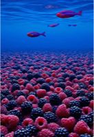 🍓🌊 Em qual desses oceanos de frutas você mergulharia? 🍓🌊 Which of these fruit oceans would you d — AI fruit video by @geandrade_ia