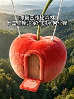 你被困神秘森林，十二星座决定你的水果小屋（上）#asmr #解压 #fyp #aiart #fouyour #助眠 #ai #星座 #bed — AI fruit video by @wangyiqingg